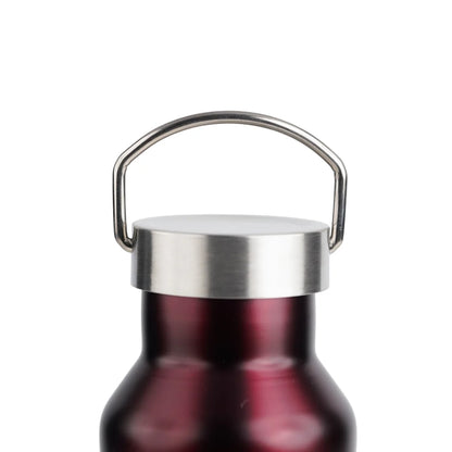 PE Birds Hydra 600ml Thermal Vacuum Insulated Flask with Steel Cap Bottle