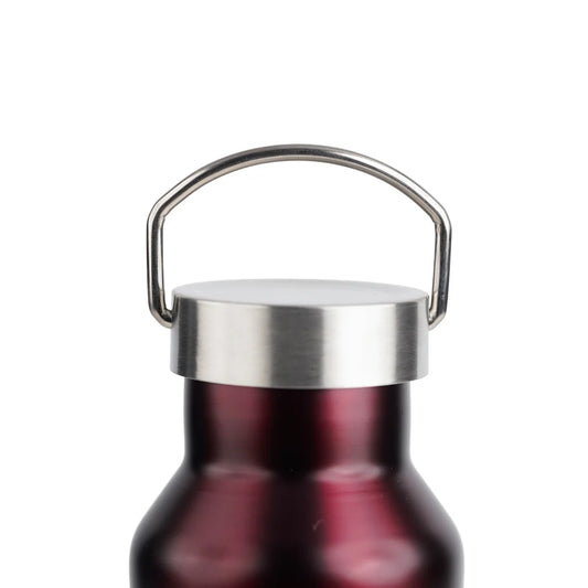 PE Birds Hydra 600ml Thermal Vacuum Insulated Flask with Steel Cap Bottle