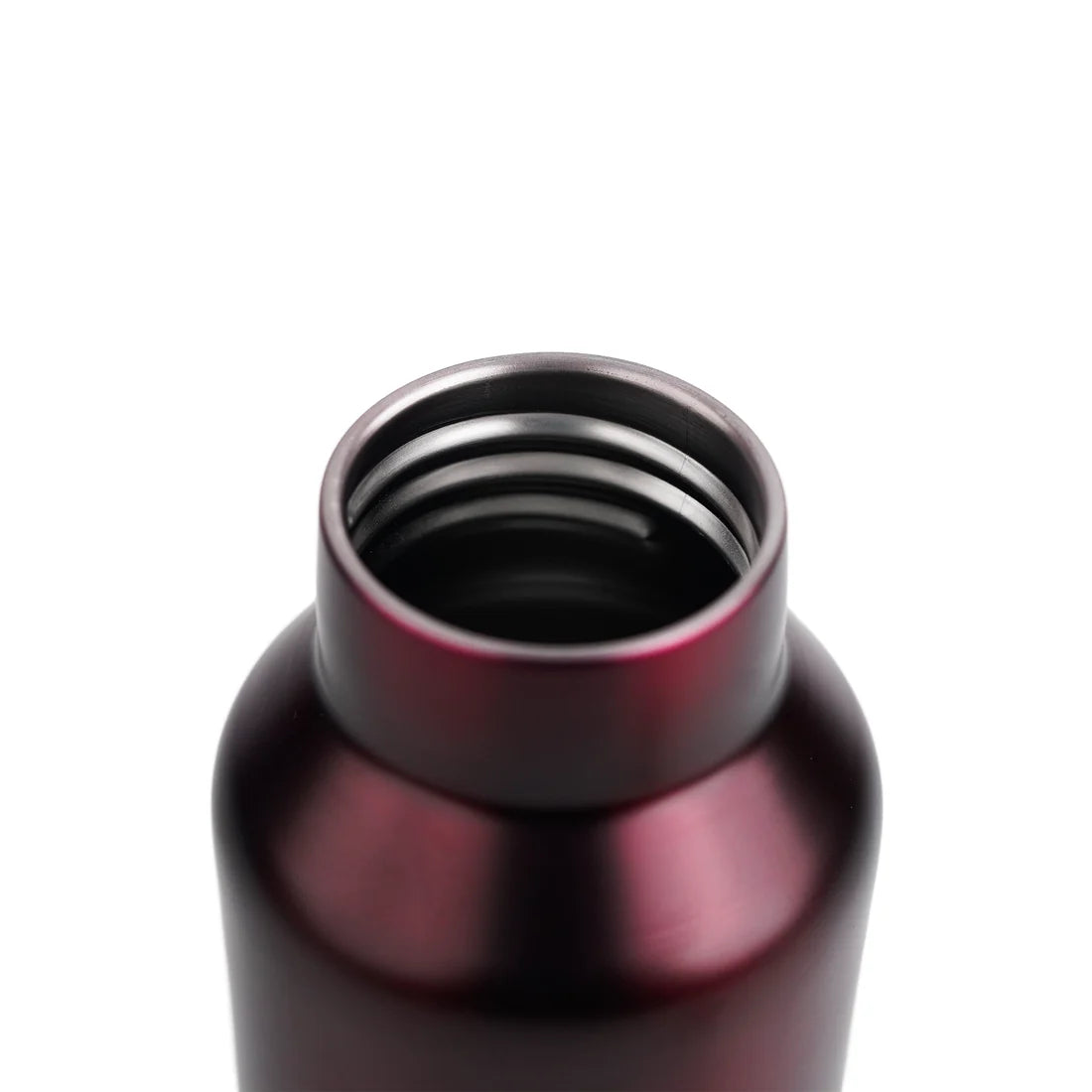 PE Birds Hydra 600ml Thermal Vacuum Insulated Flask with Steel Cap Bottle