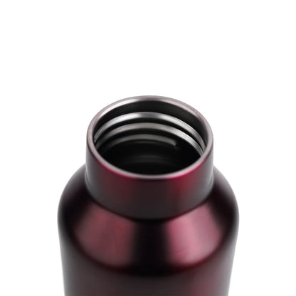 PE Birds Hydra 600ml Thermal Vacuum Insulated Flask with Steel Cap Bottle