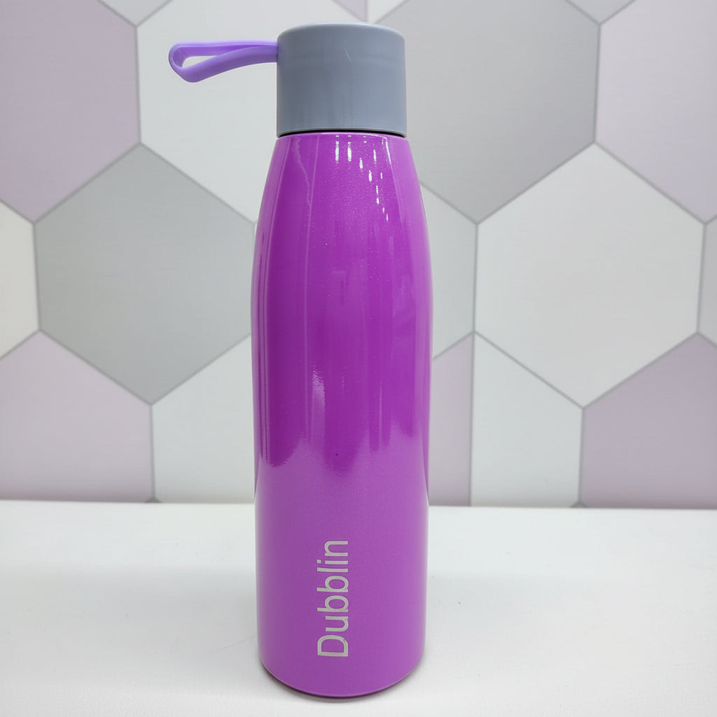 Dubblin Dolphin 550ml Thermal Vacuum Insulated Bottle