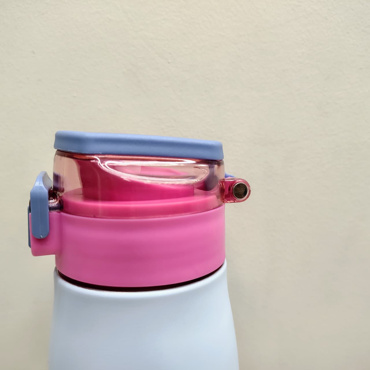 Dubblin Club 750ml Thermal Vacuum Insulated Bottle