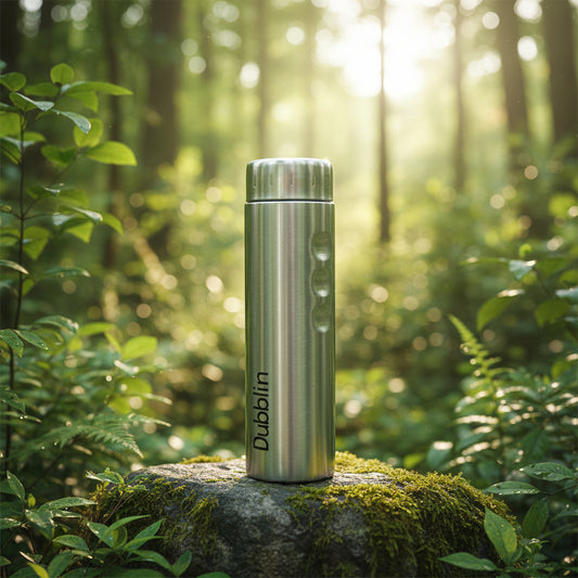 Dubblin Ice Cube 750ml Stainless Steel Bottle