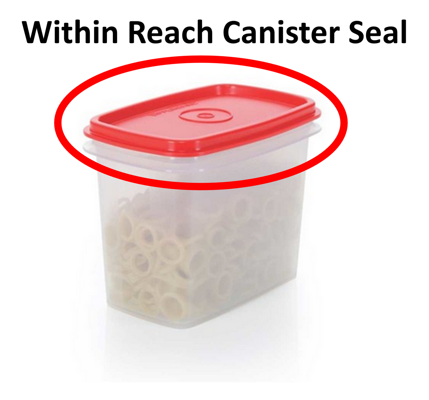 Tupperware Within Reach Canister 2 Seals