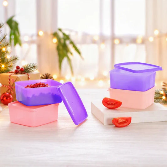 Tupperware Cool N Fresh Container